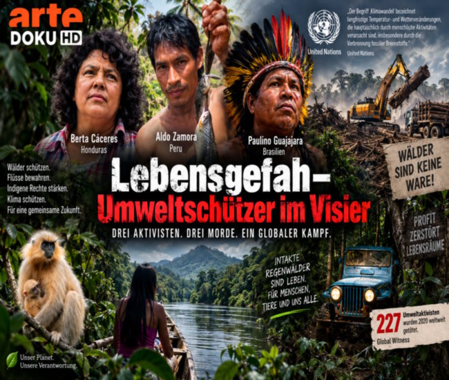 Lebensgefahr – Umweltschützer im Visier
